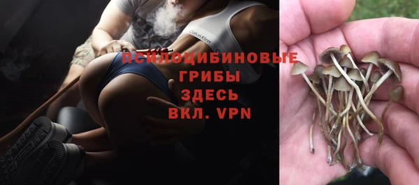 гашиш Туринск